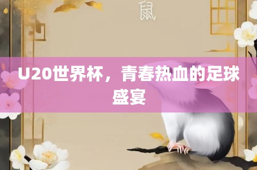 揭秘传奇，1986年世界杯足球盛宴！那些热血沸腾的瞬间！