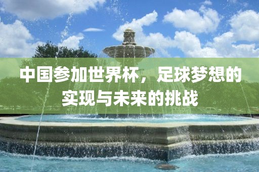 世界杯中国队积分，探寻背后的故事与策略漯河市盈旭机械设备有限公司