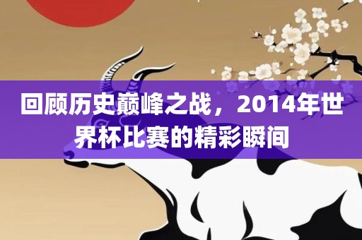 回顾历史巅峰之战，2014年世界杯比赛的精彩瞬间
