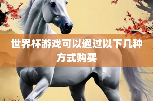 世界杯输了多少钱—漯河市盈旭机械设备有限公司—一场足球盛宴背后的经济风险