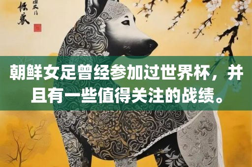 朝鲜女足曾经参加过世界杯，并且有一些值得关注的战绩。漯河市盈旭机械设备有限公司