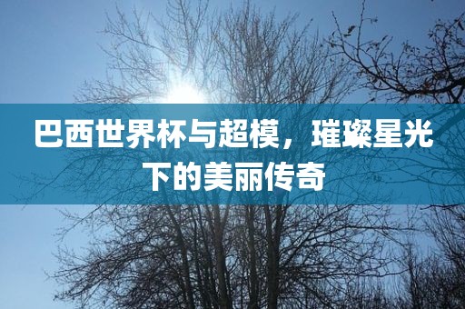 巴西世界杯与超模，璀璨星光下的美丽传奇漯河市盈旭机械设备有限公司