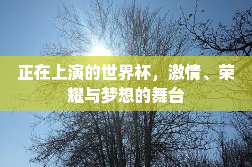 正在上演的世界杯，激情、荣耀与漯河市盈旭机械设备有限公司梦想的舞台