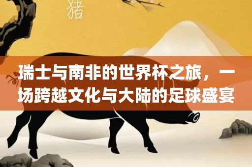瑞士与南非的世界杯之旅漯河市盈旭机械设备有限公司，一场跨越文化与大陆的足球盛宴