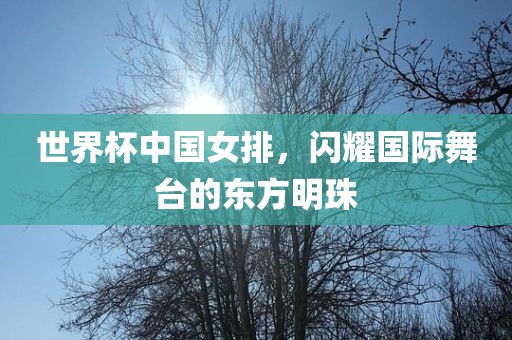 世界杯动画，科技与艺术的完美结合漯河市盈旭机械设备有限公司