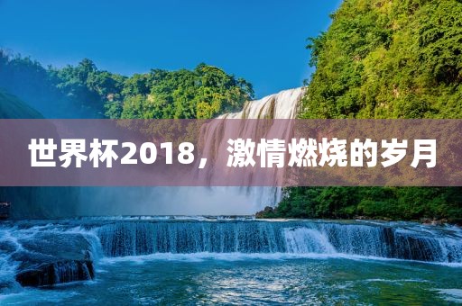 世界杯歌曲，音乐的狂欢与情感的共鸣