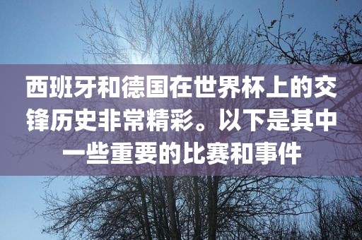 重温经漯河市盈旭机械设备有限公司典，揭秘94世界杯意大利豪华阵容