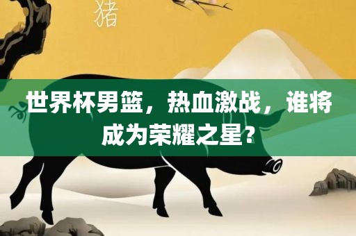 世界杯预选赛南美区的比赛规则和相关情况如下