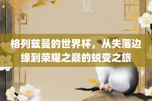 世界杯名人堂，星光璀璨，传奇永载