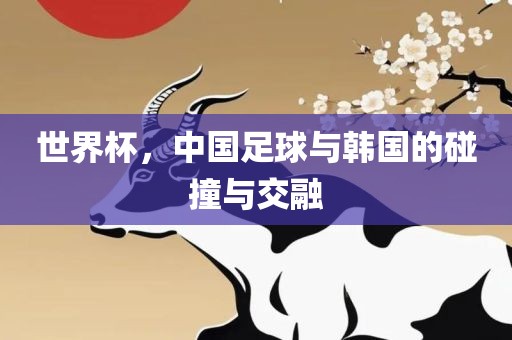 女足世界杯排名解析，全球顶尖队伍一览