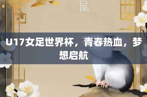 揭秘2008世界杯主题曲背后的故事与深意