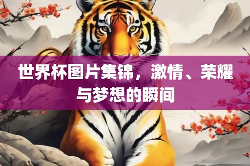 世界杯上的德国，辉煌战绩与无尽荣耀漯河市盈旭机械设备有限公司