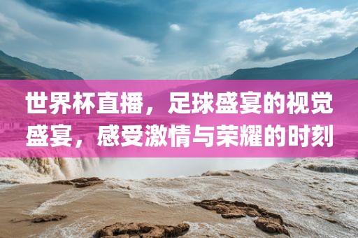 世界杯门票，获取方式、注意事项及更多细节解读